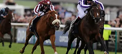 Horse Racing